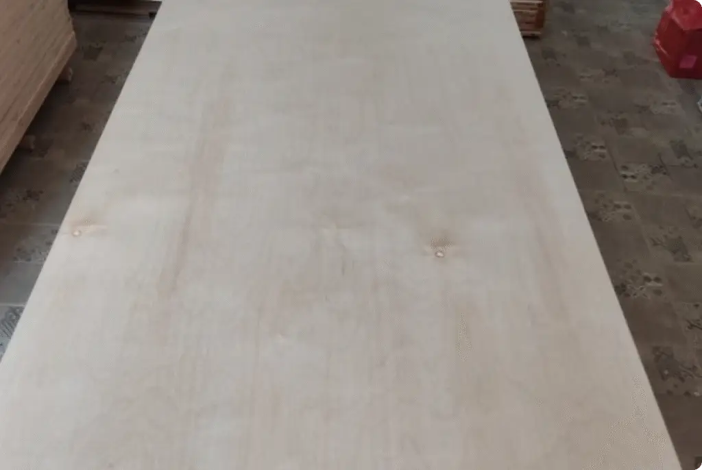 Triplek Sanding 1