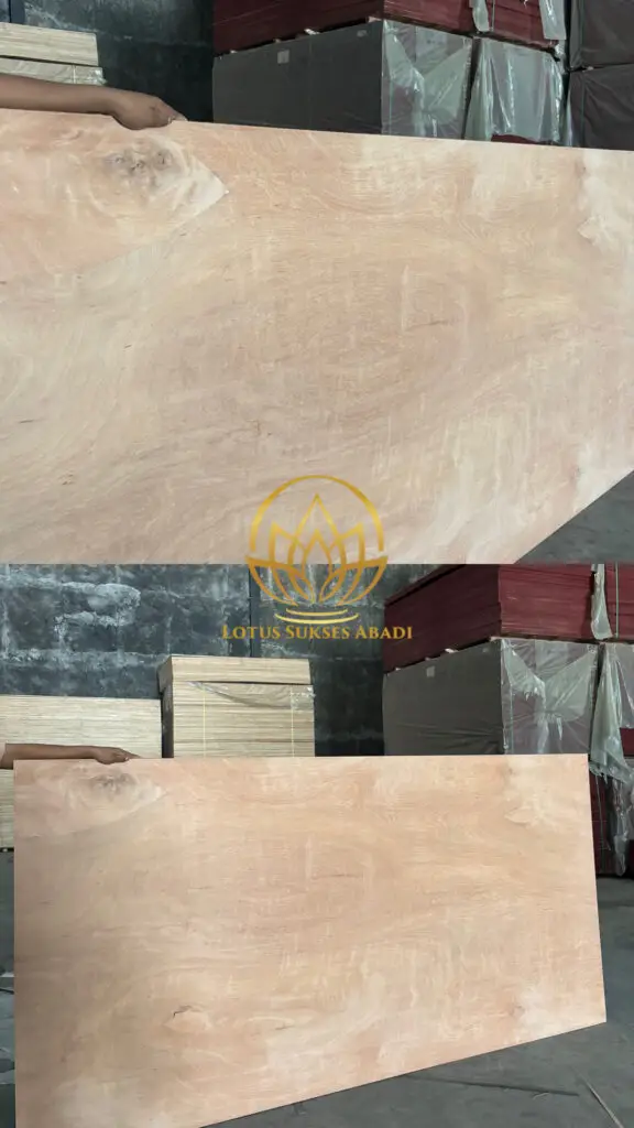 Triplek Sanding 2